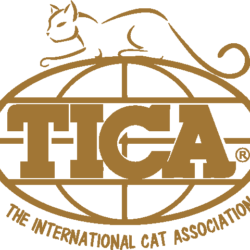 Registering Your Kitten with TICA