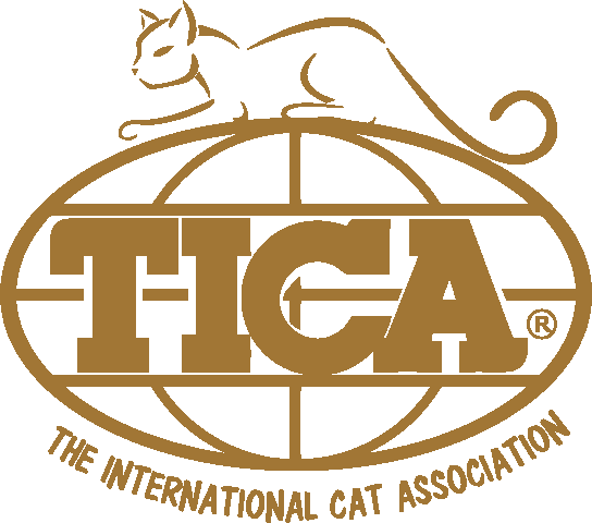 Registering Your Kitten with TICA