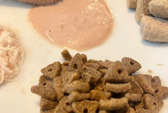 Dry kibble cat food