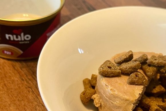 Canned pate cat food with dry kibble on top in a small bowl