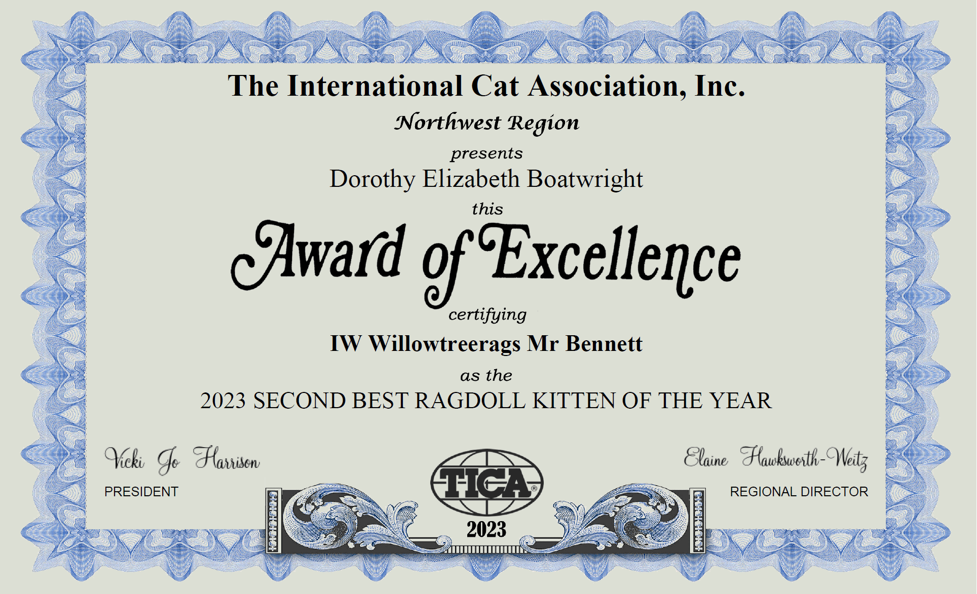 NORTHWEST REGION SECOND BEST RAGDOLL KITTEN OF THE YEAR WILLOWTREERAGS MR BENNETT 2023