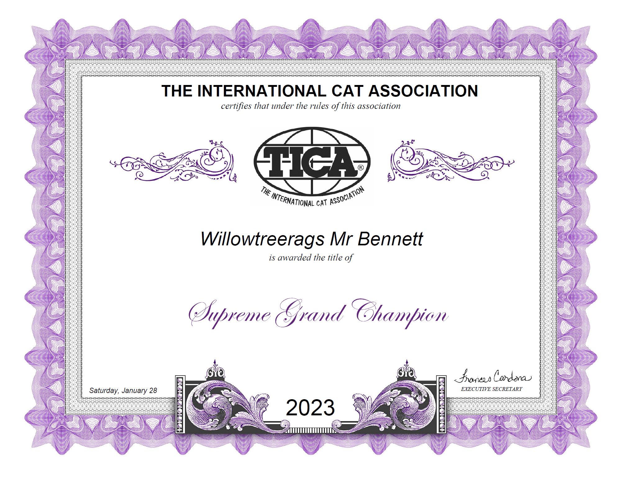 WILLOWTREERAGS MR BENNETT SUPREME GRAND CHAMPION 2023