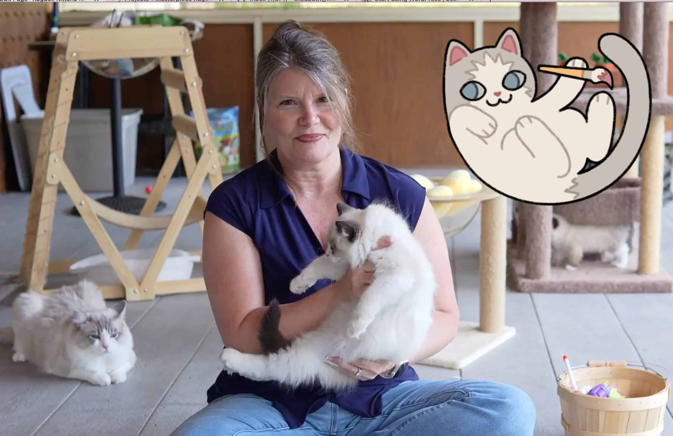 elizabeth boatwright ragdoll cat breeder