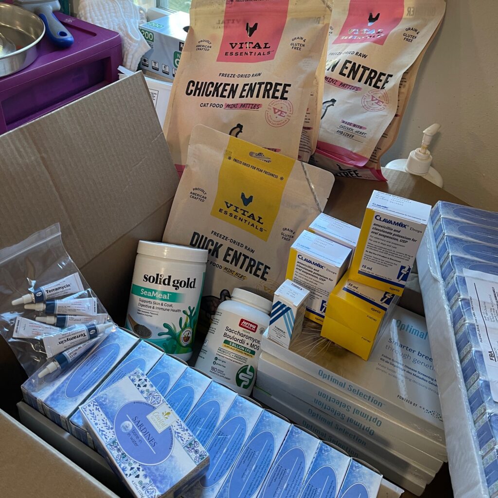 breeding kittens supplies