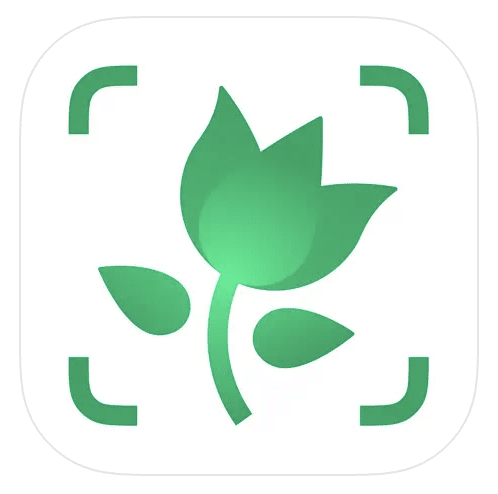 Plant Identifier app image
