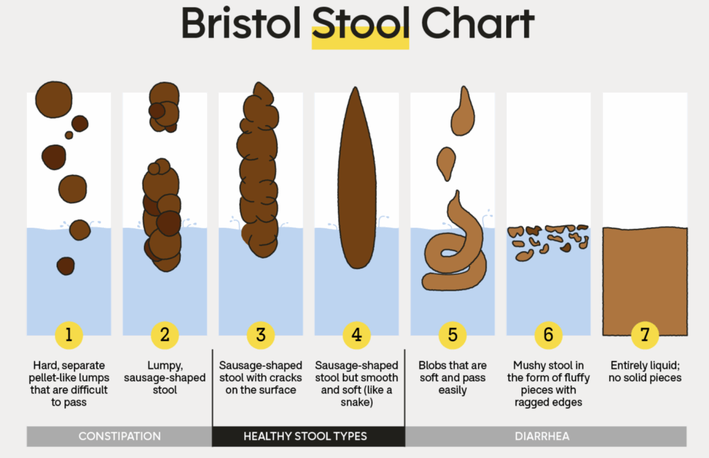 a stool chart for diagnosing healthy ragdoll poop